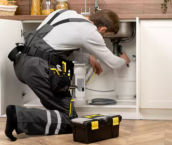 Certified Plumbers for Insinkerator Installation in Redan