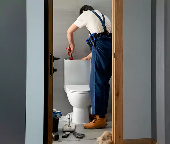 Professional Plumbers for Toilet Bowl Replacement in Redan, GA: Schedule Affordable Toilet Replacement Services With Us