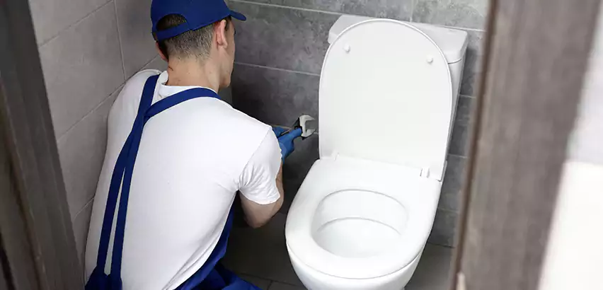 Toilet Lid Replacement in Redan